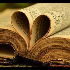 Meet your Posher, Maddy